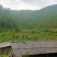 鱼塘出售或出租，山泉水源，无污染，交通方便，水电齐全。