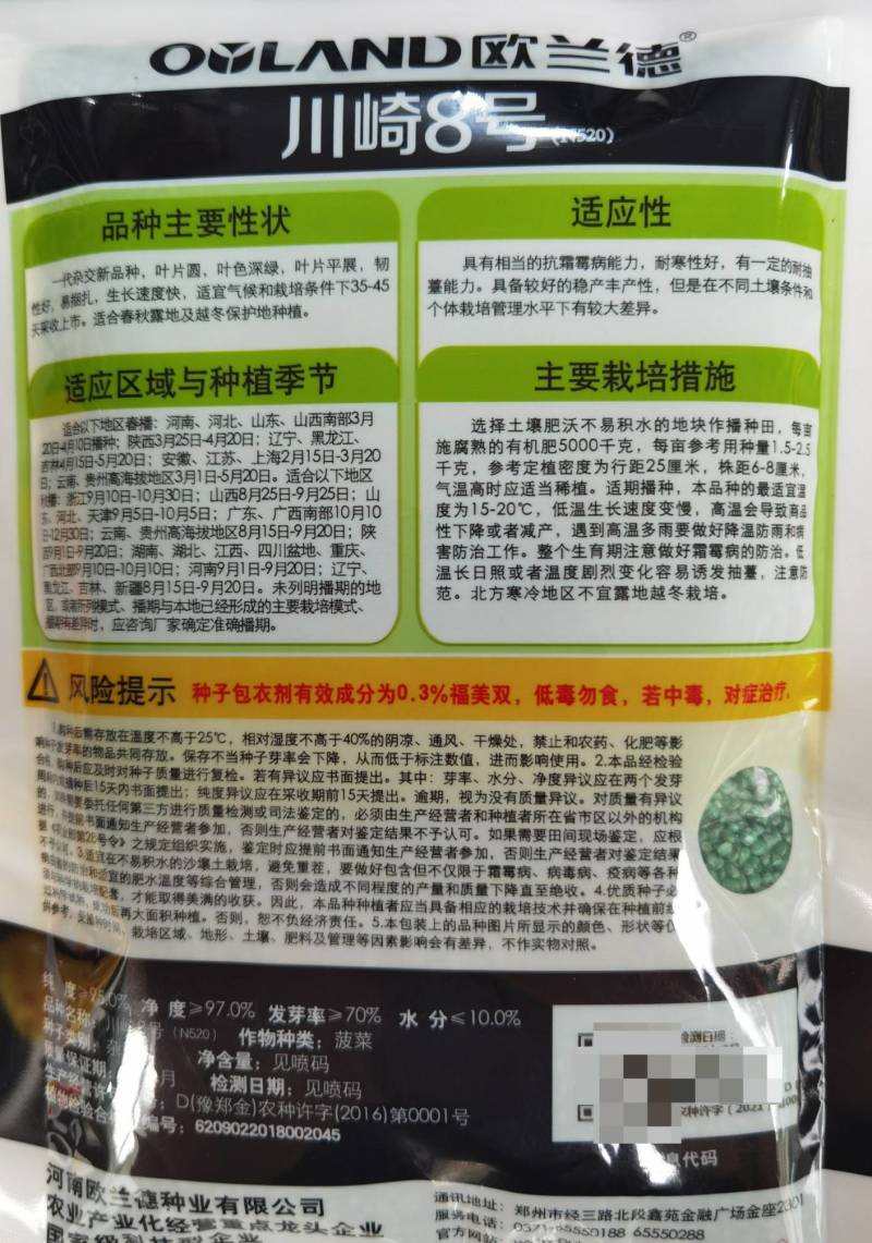 欧兰德川崎8号菠菜种子速生短柄圆叶黑油亮耐寒越冬趴地