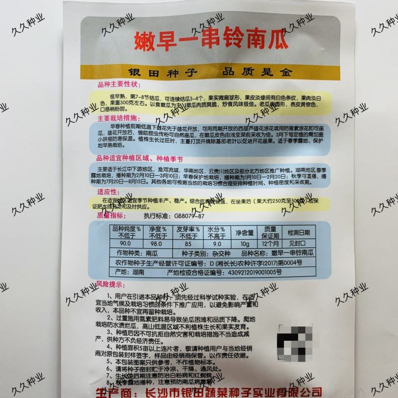 一串铃花篮早熟小南瓜高产贝贝迷你小南瓜四季易种田园蔬菜种