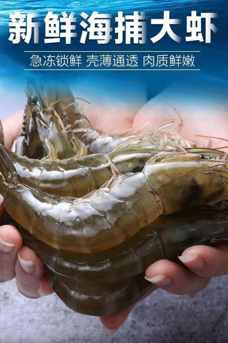 新鲜超大鲜活基围虾一件4斤青岛大虾【顺丰包邮】
