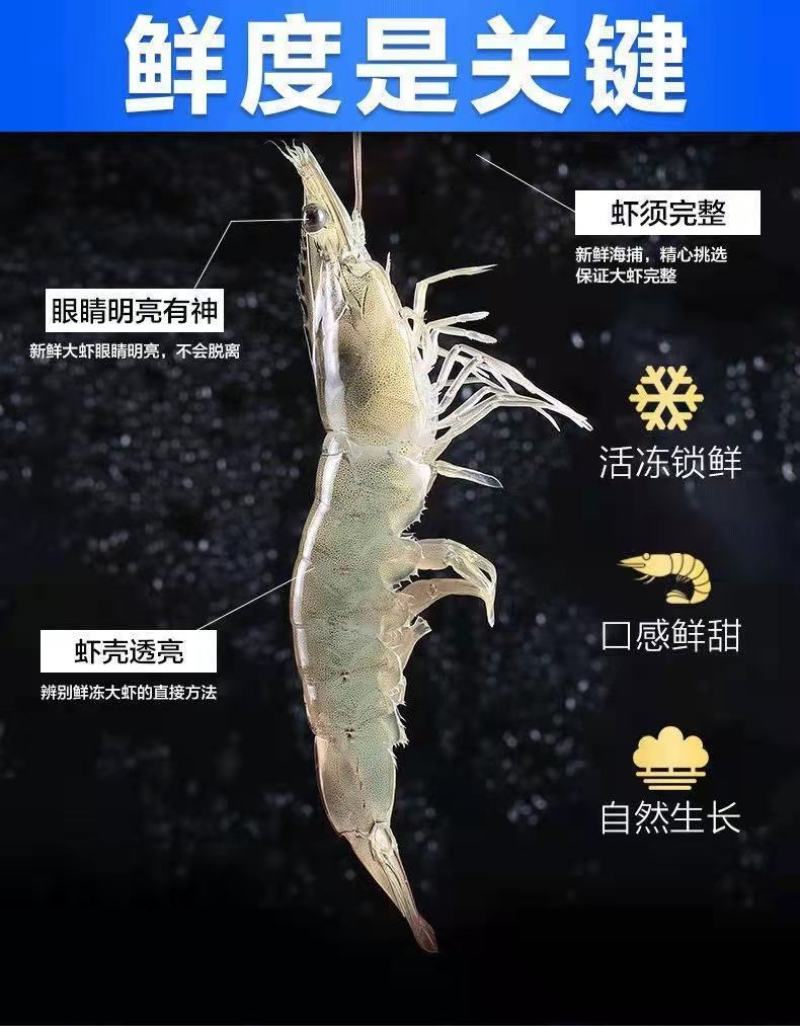 新鲜超大鲜活基围虾一件4斤青岛大虾【顺丰包邮】
