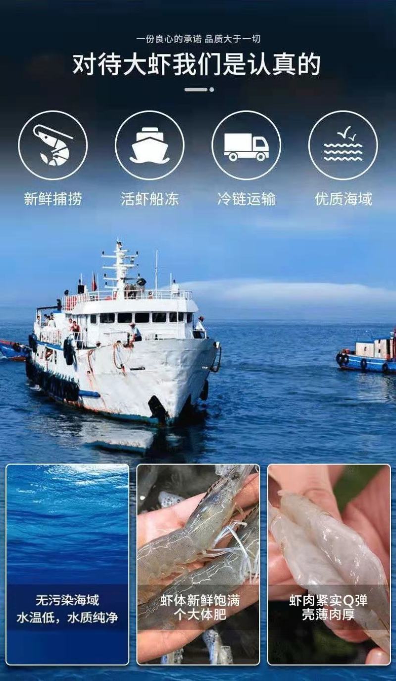 新鲜超大鲜活基围虾一件4斤青岛大虾【顺丰包邮】