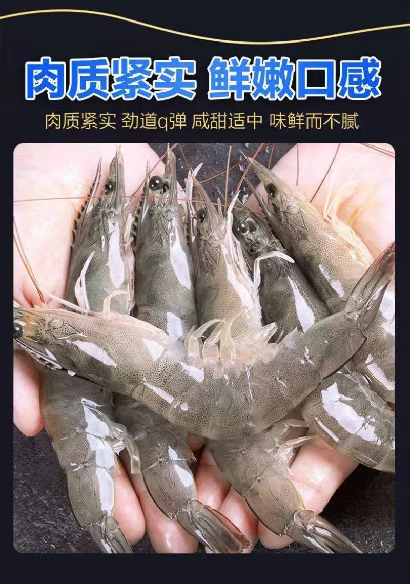 新鲜超大鲜活基围虾一件4斤青岛大虾【顺丰包邮】