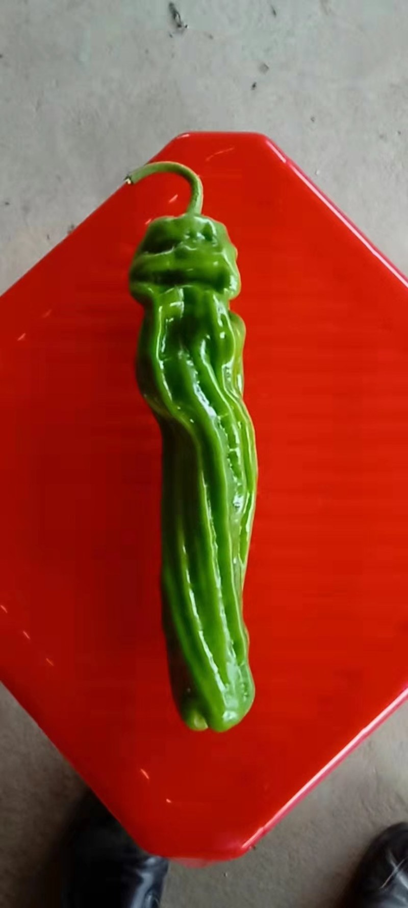 8424美都发货中，保证质量，欢迎订购