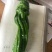 8424美都发货中，保证质量，欢迎订购