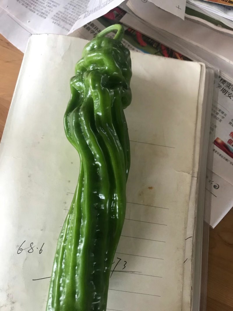 8424美都发货中，保证质量，欢迎订购