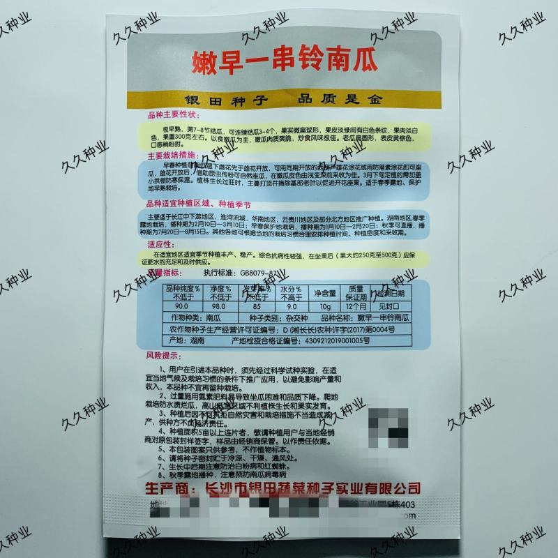 嫩早一串铃小南瓜种子四季春秋高产无蔓绿珠南瓜蔬菜种子
