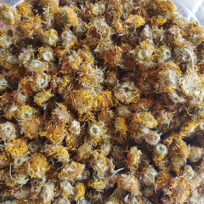 旋复花旋覆花统货产地山东省新货批发各种规格中药材