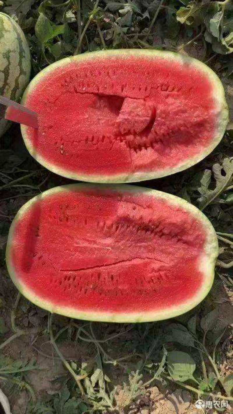 宁夏硒砂瓜，皮毛好，瓜型正，糖度高，全国发货。