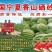 宁夏硒砂瓜，皮毛好，瓜型正，糖度高，全国发货。