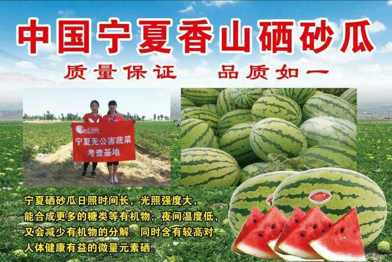 宁夏硒砂瓜，皮毛好，瓜型正，糖度高，全国发货。