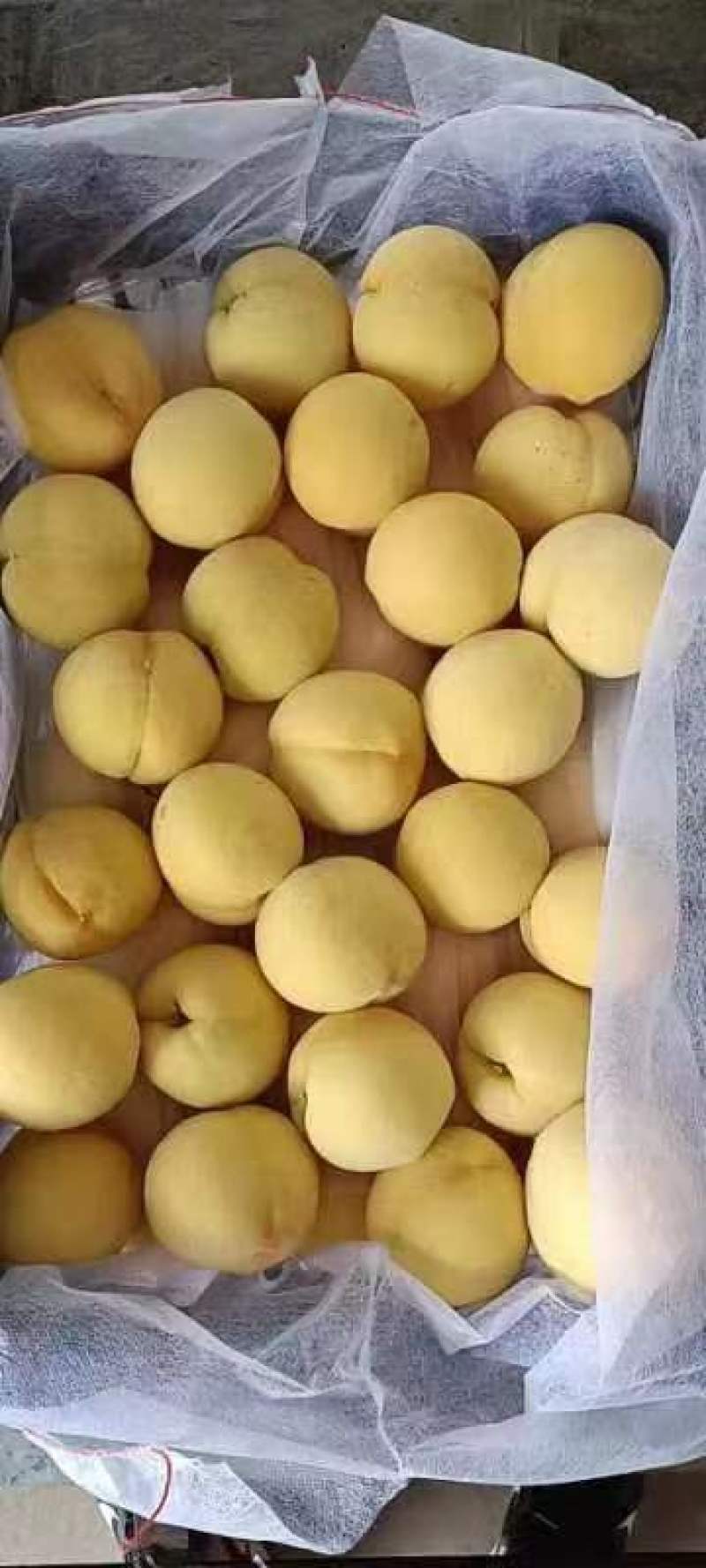 ，黄金蜜，都是都是人工过手精品冷库货需