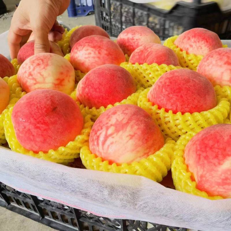 ，黄金蜜，都是都是人工过手精品冷库货需