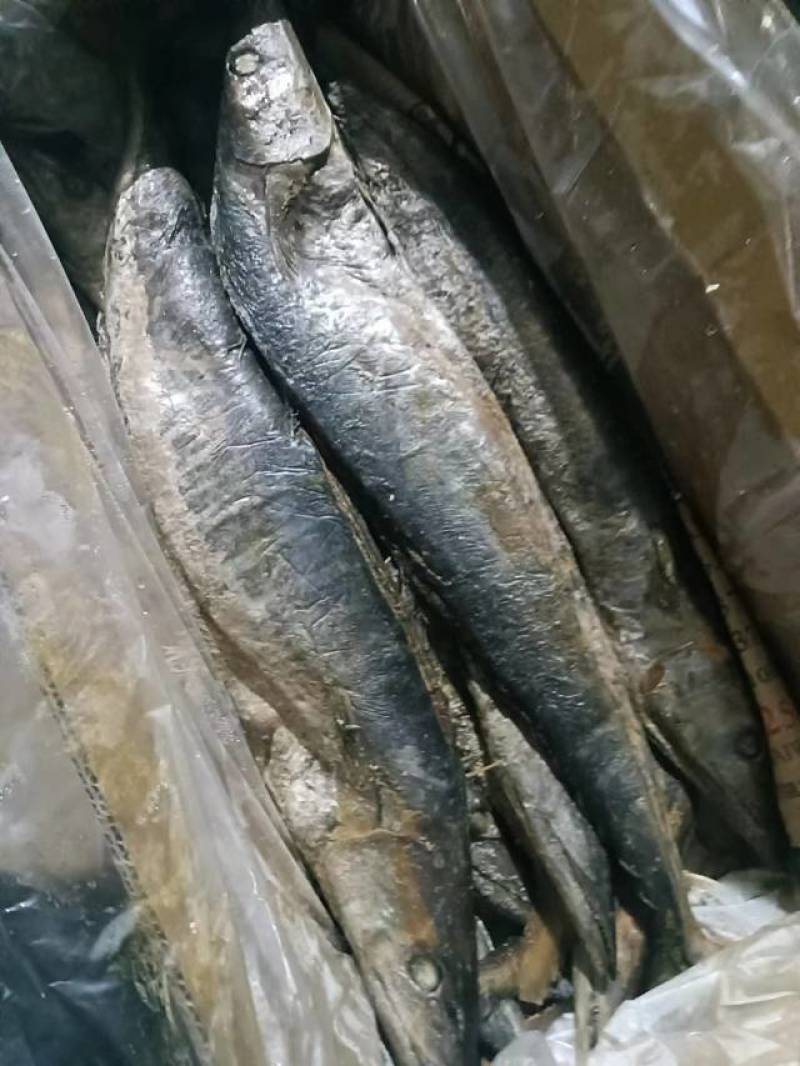 广东梅香马鲛鱼咸鱼糟鱼鲅鱼海产批发一手货源