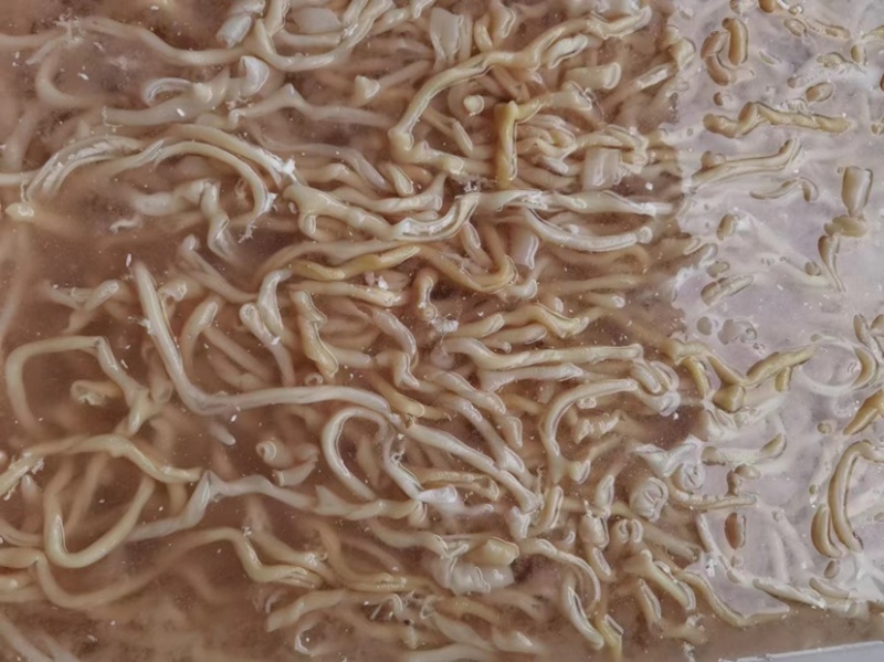火锅鸭肠水发鸭肠鸭肠脆鸭肠无油免洗脆鸭肠串串食材