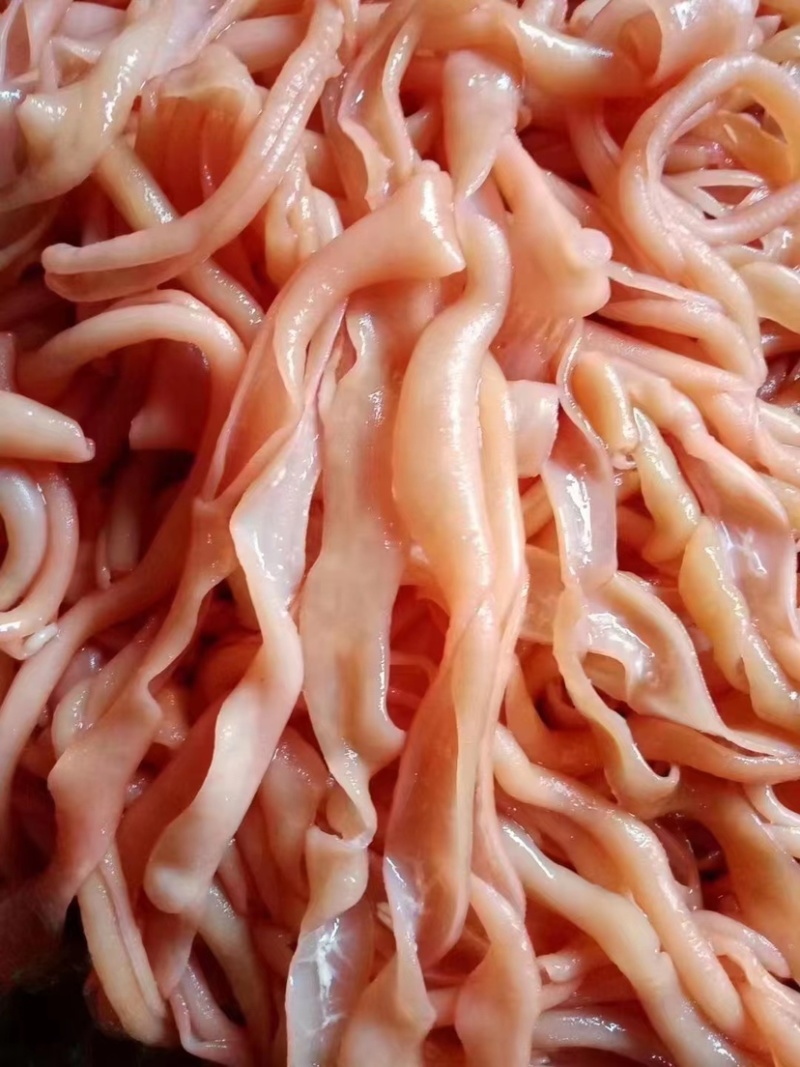 火锅鸭肠水发鸭肠鸭肠脆鸭肠无油免洗脆鸭肠串串食材