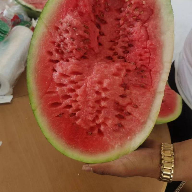 金花1号（金城5号，康乐，）西北石头地种植，甜度高，