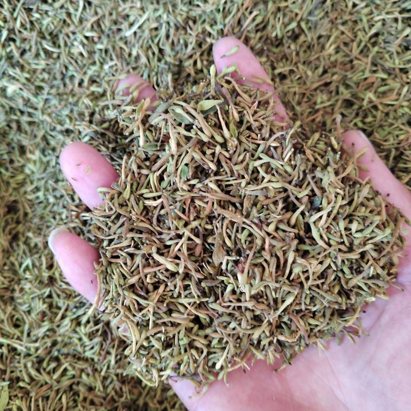 贵州毛金银花