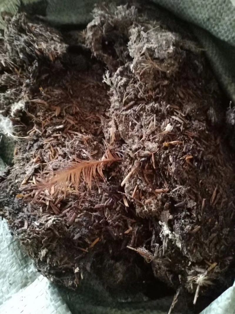 三黄鸡粪，鸡场直供