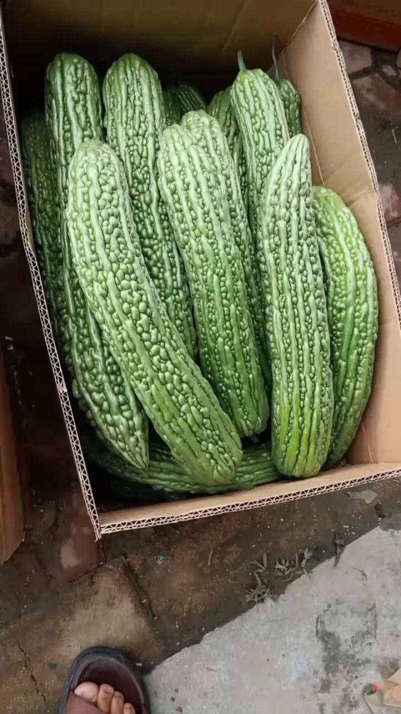 苦瓜，好品质高质量，货源充足，物美价廉…