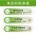 硫华菊种子硫化菊种子四季易种庭院阳台种子景观花海硫磺菊籽