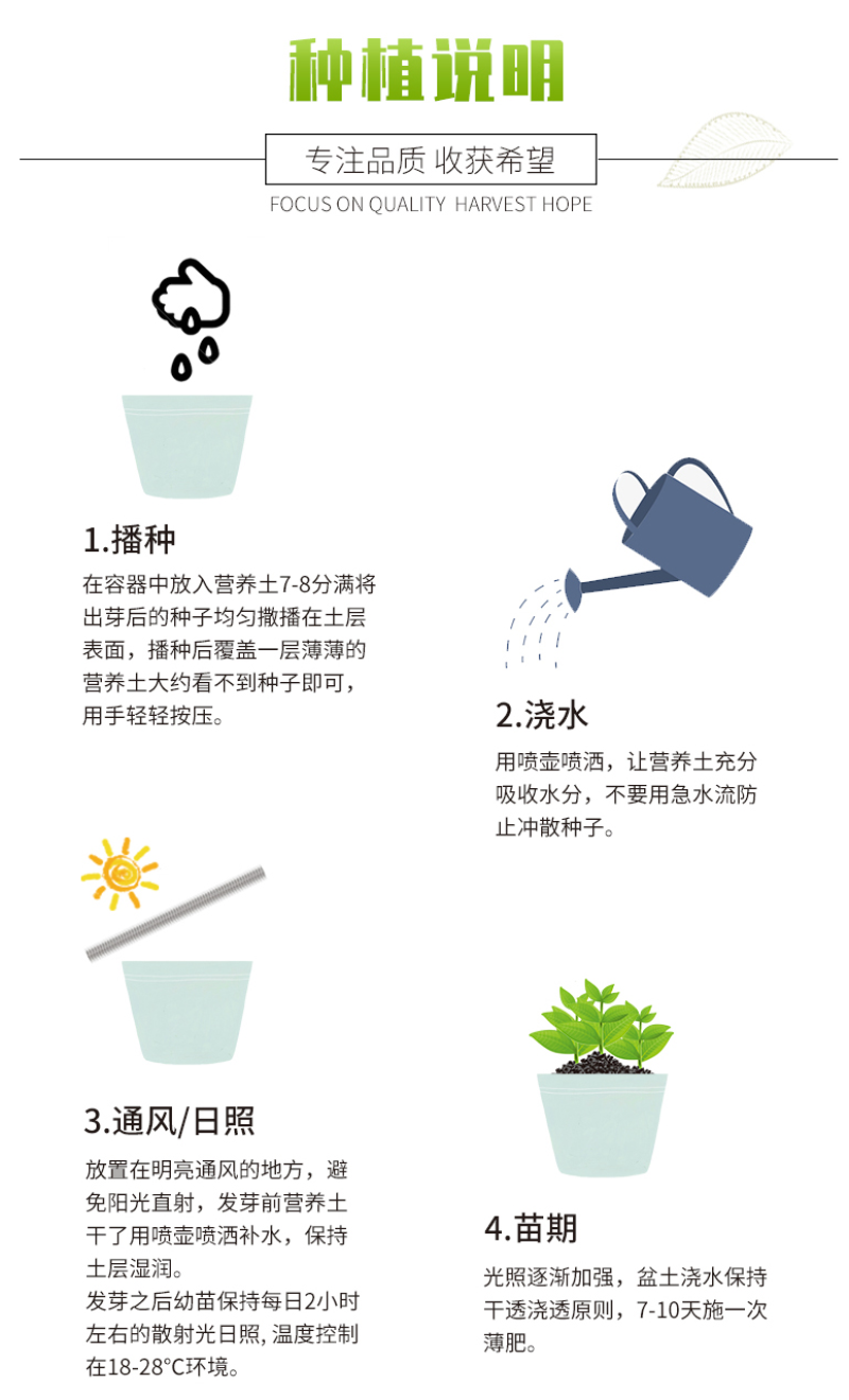 硫华菊种子硫化菊种子四季易种庭院阳台种子景观花海硫磺菊籽