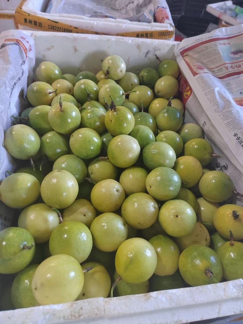 黄金果，