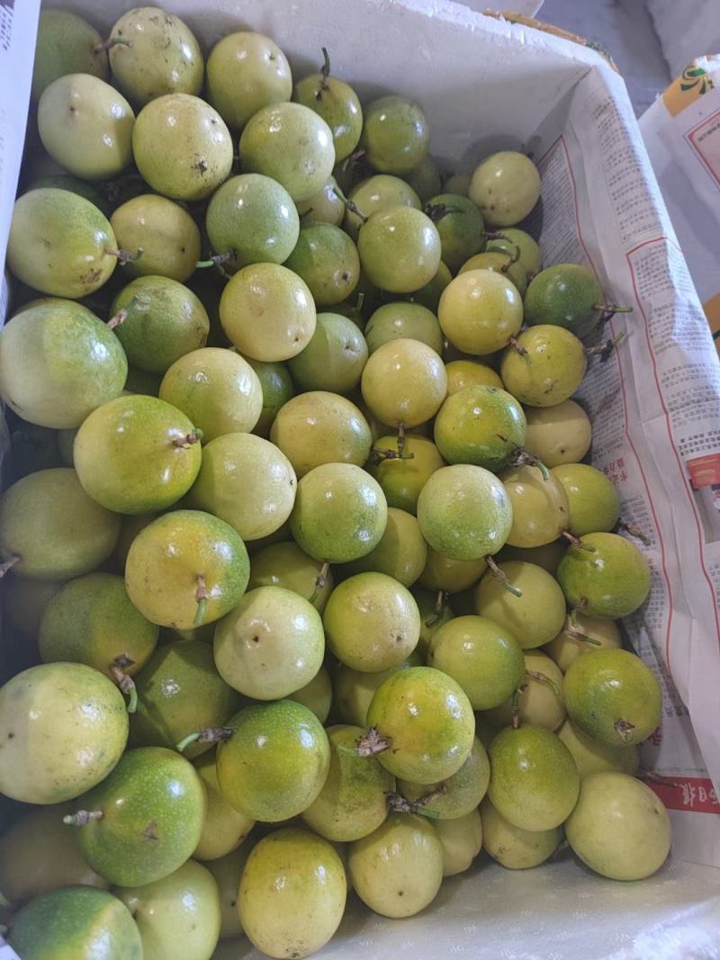 黄金果，