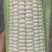 万糯2000