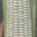 万糯2000