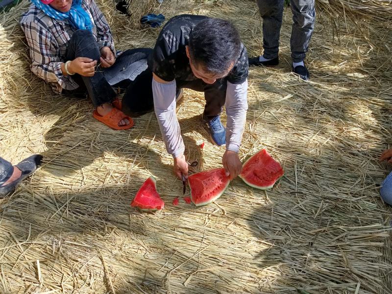 安广西瓜大量上市，庆红999货源冲足，