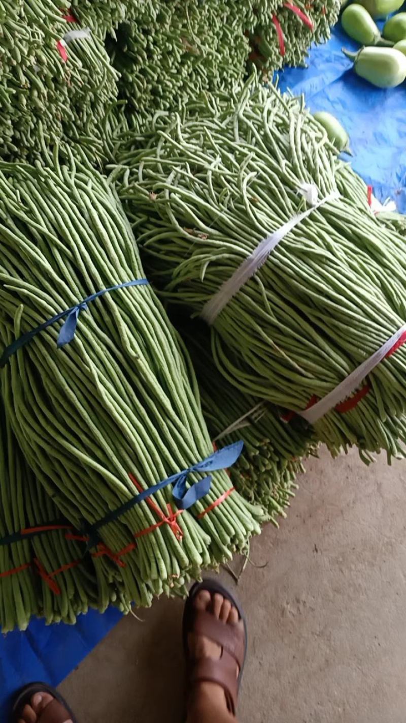 青条豆角品质保证，物美价廉，货源充足，欢迎前来选购
