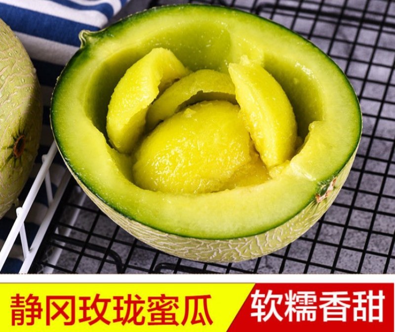 山东玫珑瓜网纹文蜜瓜软糯香甜带箱1-5个新鲜水果冰糖蜜瓜