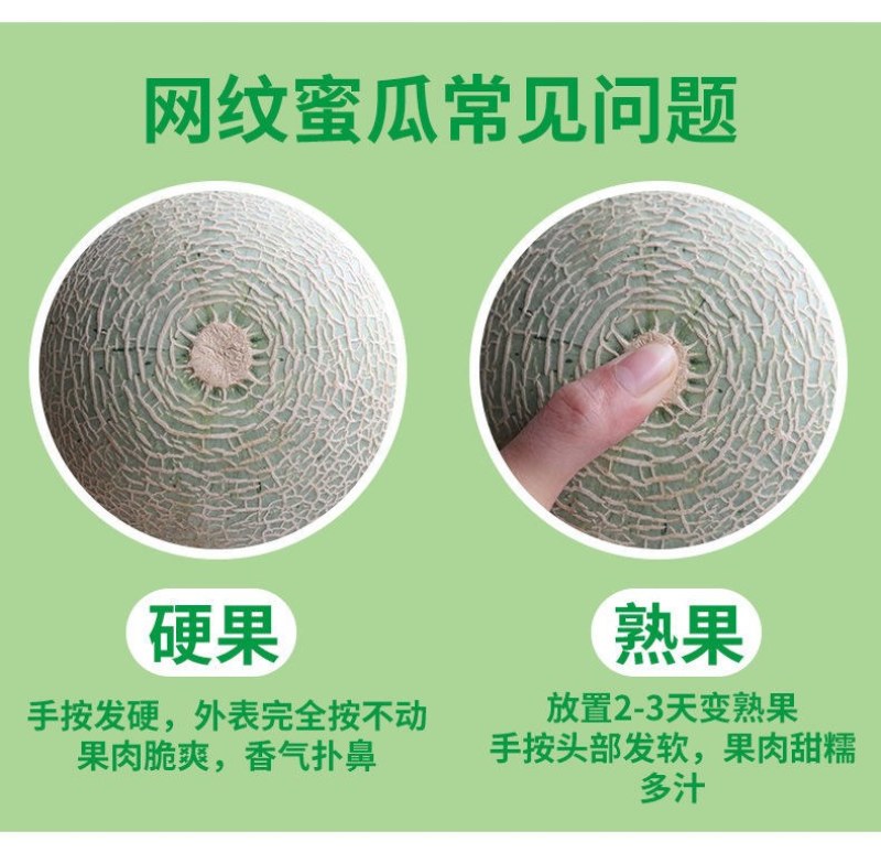 山东玫珑瓜网纹文蜜瓜软糯香甜带箱1-5个新鲜水果冰糖蜜瓜