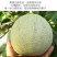 山东玫珑瓜网纹文蜜瓜软糯香甜带箱1-5个新鲜水果冰糖蜜瓜