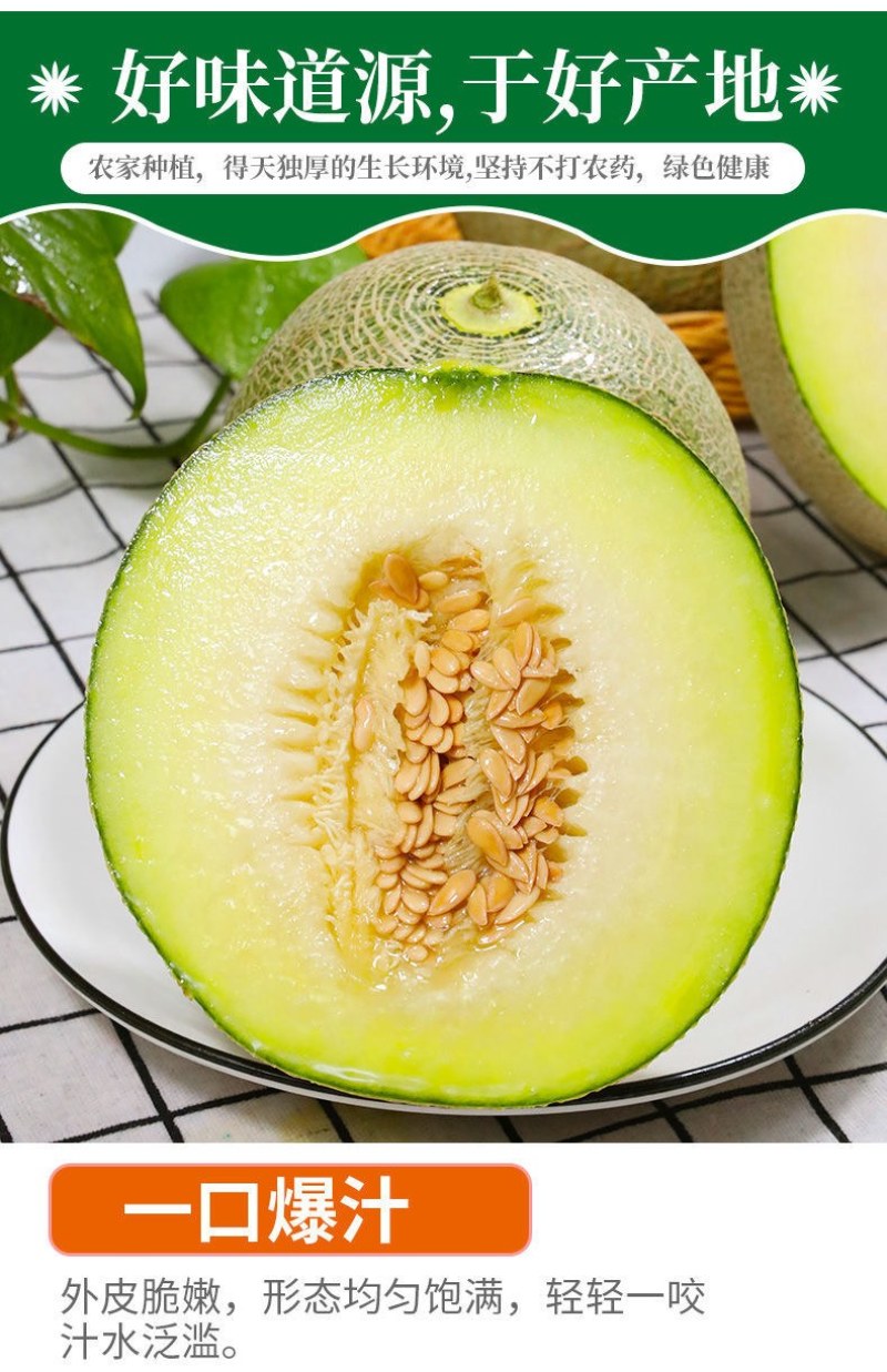 山东玫珑瓜网纹文蜜瓜软糯香甜带箱1-5个新鲜水果冰糖蜜瓜