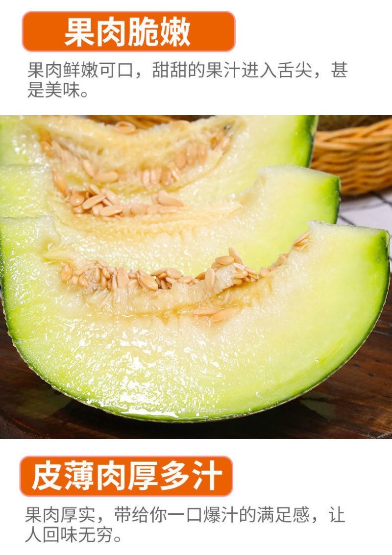山东玫珑瓜网纹文蜜瓜软糯香甜带箱1-5个新鲜水果冰糖蜜瓜