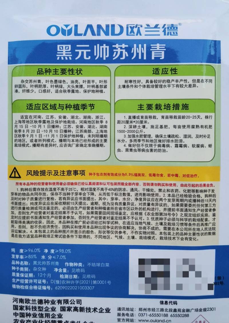 欧兰德黑元帅杂交苏州青种子矮脚油亮耐寒越冬黑叶大头苏州青