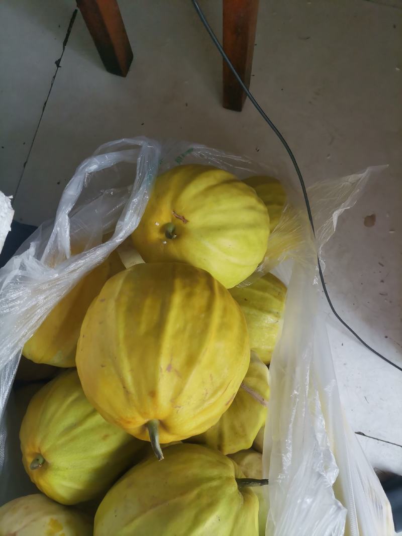 湖北丑八怪甜瓜，绿宝石甜瓜，基地直发，无中间商。