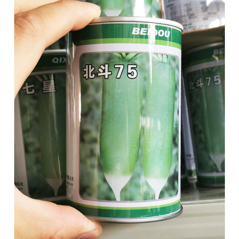 七星水果萝卜种子北斗75青皮青肉萝卜籽甜脆里外青100克