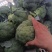 莱西市精品西兰花泡沫箱。诚信合作，欢迎新老客户下单！