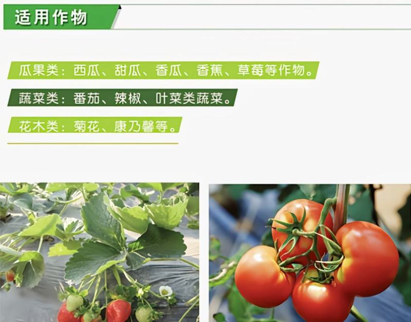 农膜地膜银灰地膜银黑防草地膜反光地膜