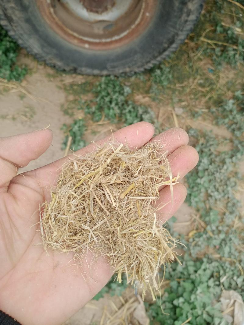 喷播绿化草纤维，濮阳范县专业合作社生产，每吨700元，