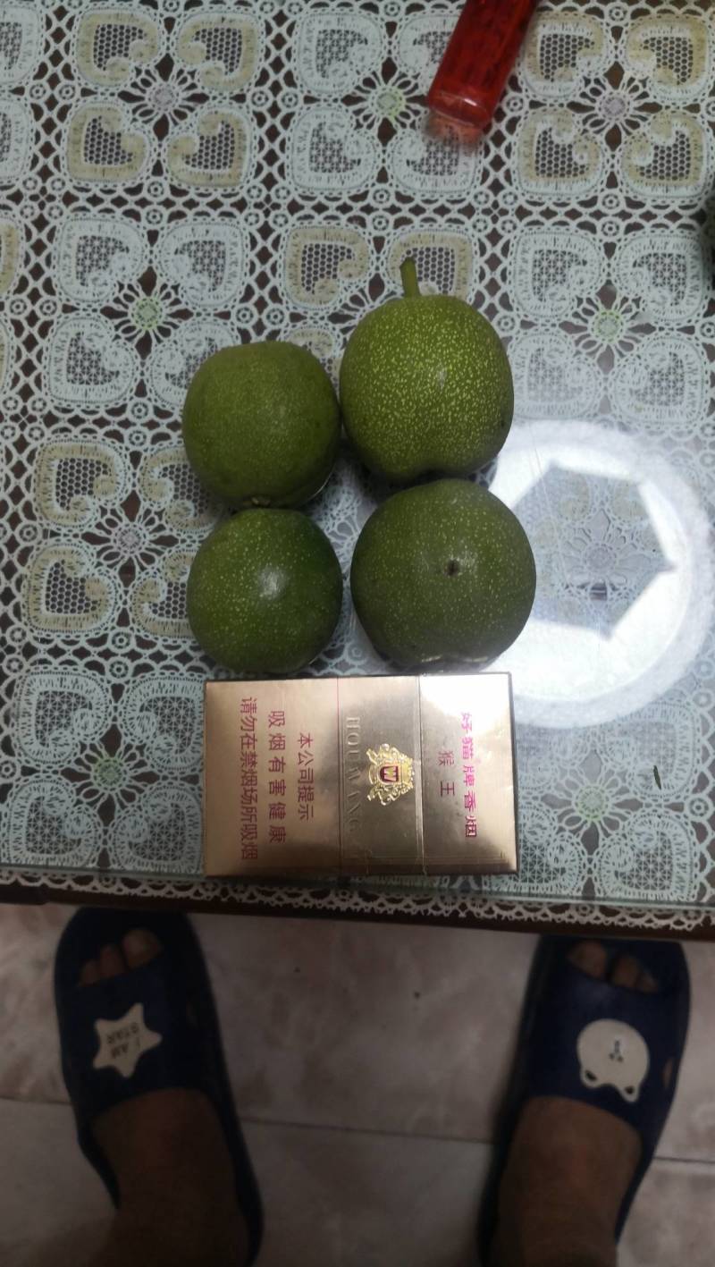 自家果园的绿色环保核桃