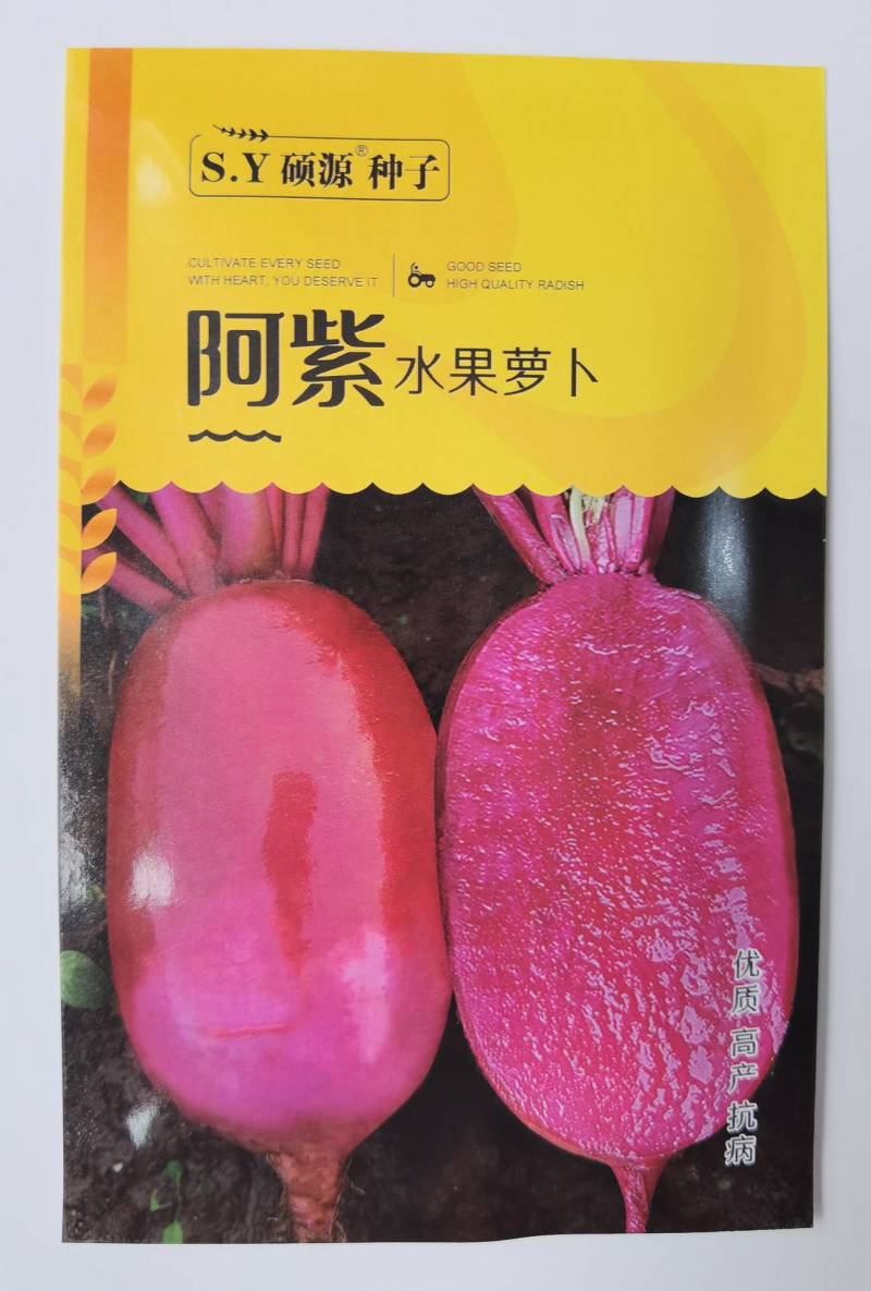 阿紫凤梨萝卜种子硕源杂交红皮红肉甜脆水果萝卜种子