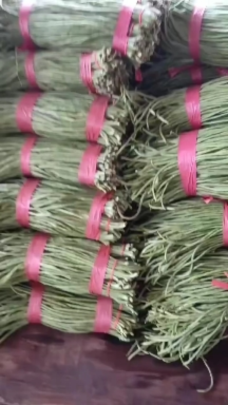 长豆角60厘米以上大量有货需要联系