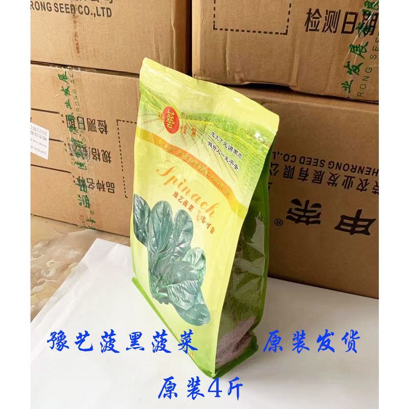 墨玉抗热王菠菜种子黑圆叶抗病进口直立红根菠菜种子原装发货