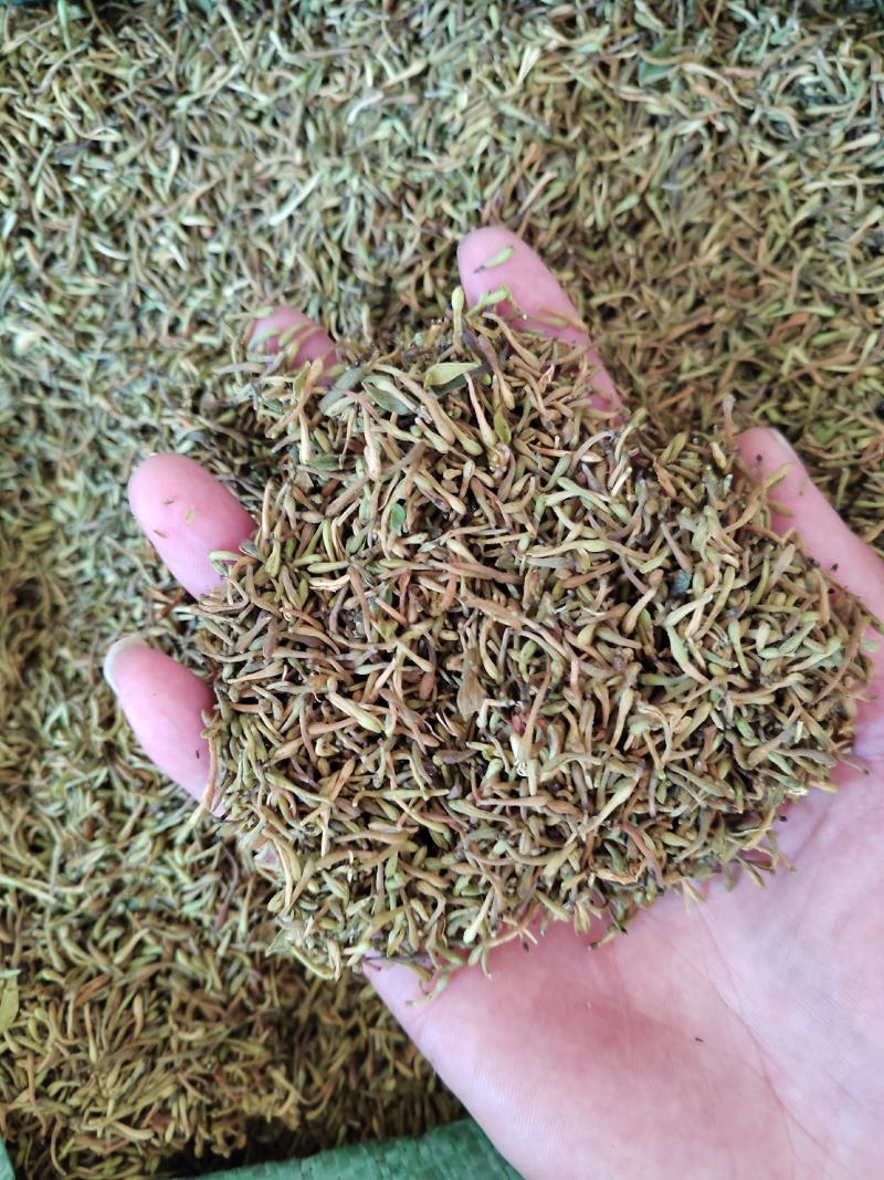 金银花籽