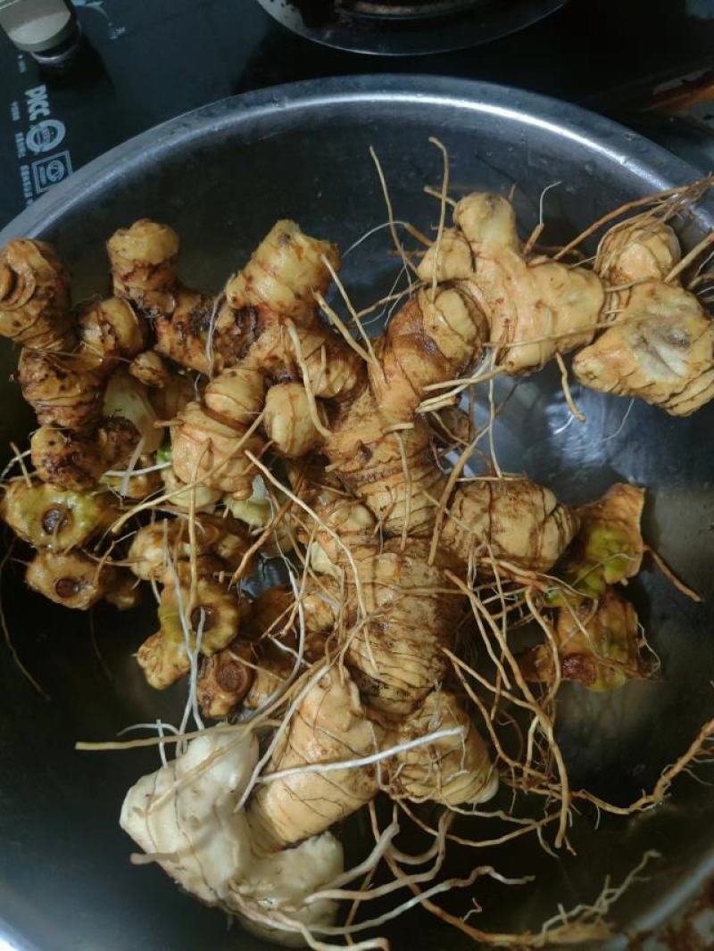 多花姜型鸡头黄精野生山货精选六年以上的老货