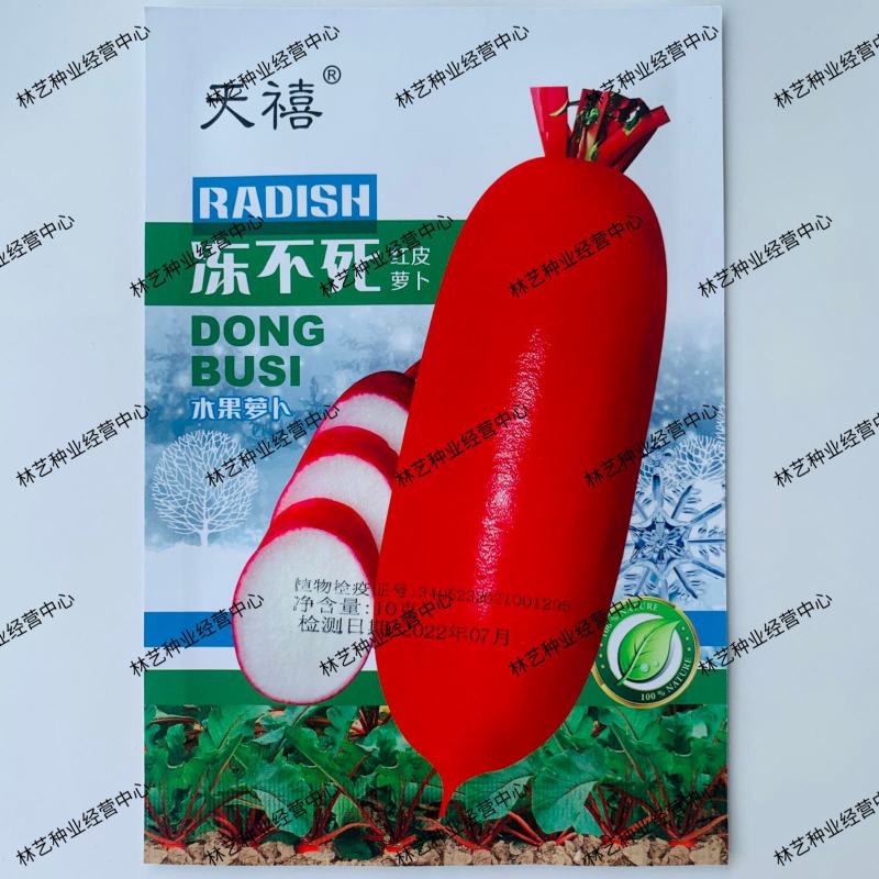 天禧红皮水果型萝卜种籽秋播耐寒生吃腌制脆甜萝卜种子农家菜